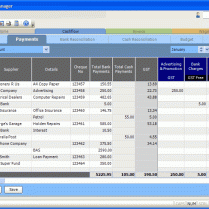 Business Accounting software