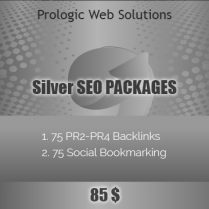 SEO Silver Package