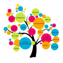 Best Search Engine Optimization Offer