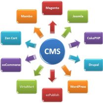 CMS Site Developing