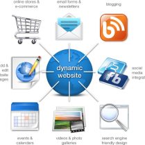 Dynamic Website Developed